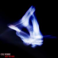 Cole Robbie - Bury You Bird