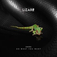 DAN:ROS - Do What You Want