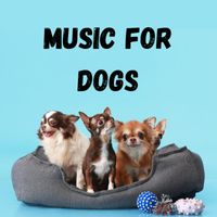 Music For Dogs, Music For Dogs Peace, Calm Pets Music Academy, Relaxing Puppy Music - Music For Dogs (Vol.169)