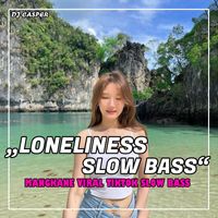 DJ Casper - LONELINESS SLOW BASS INST