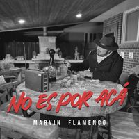 Marvin Flamenco - No Es por Acá