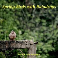 Patrick Von Wiegandt - Spring Birds with Raindrops