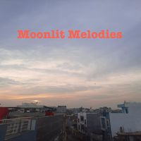 PiYUSH - Moonlit Melodies
