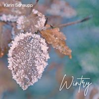 Karin Schaupp - Wintry