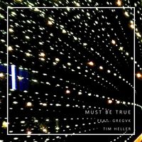 Tim Heller - Must Be True (feat. Gregvk)