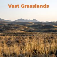 Armide Tuor - Vast Grasslands
