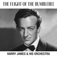 Harry James Orchestra - The Flight Of The Bumble Bee