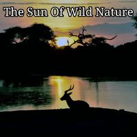 Armide Tuor - The Sun Of Wild Nature