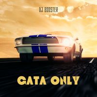 DJ Booster and DJ Valiosok - Gata Only