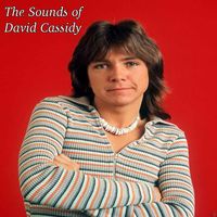 David Cassidy - The Sounds of David Cassidy