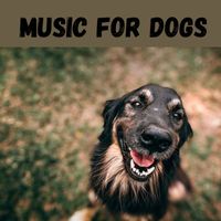Music For Dogs, Music For Dogs Peace, Relaxing Puppy Music, Calm Pets Music Academy - Music For Dogs (Vol.185)