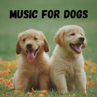 Music For Dogs, Music For Dogs Peace, Calm Pets Music Academy, Relaxing Puppy Music - Music For Dogs (Vol.184)