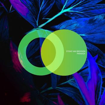 Stone Van Brooken - Paradox
