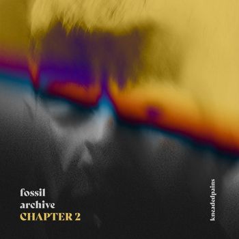 Fossil Archive - Chapter 2