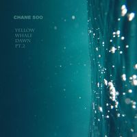 Chane Soo - Yellow whale dawn (pt.2)