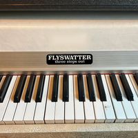 Flyswatter - Three Steps Out