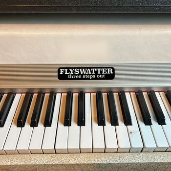 Flyswatter - Three Steps Out