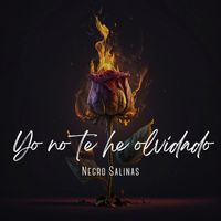 Negro Salinas - Yo No Te He Olvidado