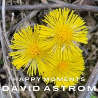 David Astrom - Happy Moments