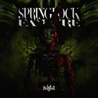 NeoKrono - Springlock Failure