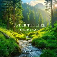 Koico Relaxation Music - Under the Tree
