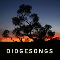 Ash Dargan - Didge Songs