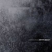 Stephan Moccio - Lavender Fields