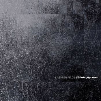 Stephan Moccio - Lavender Fields