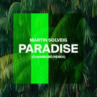 Martin Solveig - Paradise (Chambord Remix)