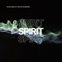 David Zanellati - Spirit