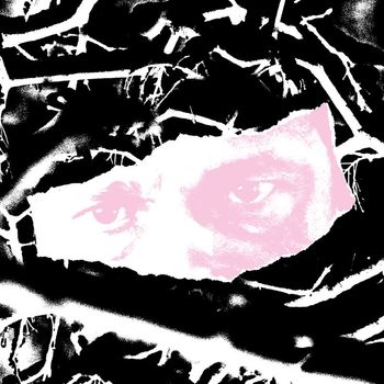 Biome - Fargo