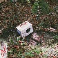 Ivy Lab - OURDOGISMISSING