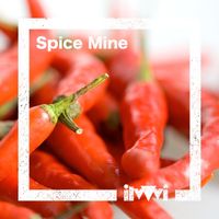 ilvVvi - Spice Mine