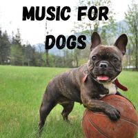 Music For Dogs, Music For Dogs Peace, Relaxing Puppy Music, Calm Pets Music Academy - Music For Dogs (Vol.195)