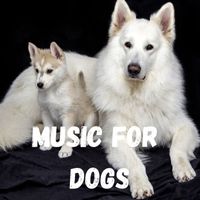 Music For Dogs, Music For Dogs Peace, Calm Pets Music Academy, Relaxing Puppy Music - Music For Dogs (Vol.189)