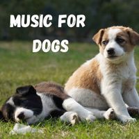 Music For Dogs, Music For Dogs Peace, Calm Pets Music Academy, Relaxing Puppy Music - Music For Dogs (Vol.187)