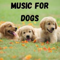 Music For Dogs, Music For Dogs Peace, Relaxing Puppy Music, Calm Pets Music Academy - Music For Dogs (Vol.194)