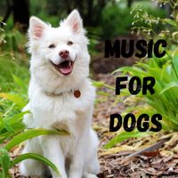 Relaxing Puppy Music, Calm Pets Music Academy, Music For Dogs, Music For Dogs Peace - Music For Dogs (Vol.188)