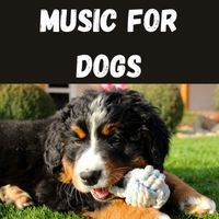 Relaxing Puppy Music, Calm Pets Music Academy, Music For Dogs, Music For Dogs Peace - Music For Dogs (Vol.193)
