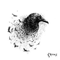rouri404 - crows (Explicit)