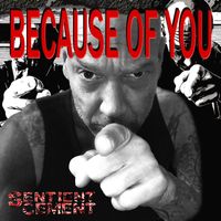 Sentient Cement - Because Of You