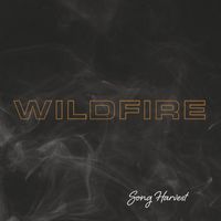Various Artists - Wildfire