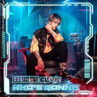 Elvis - Who's Gonna