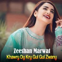 Zeeshan Marwat - Khawry Dy Kry Gul Gul Zwany