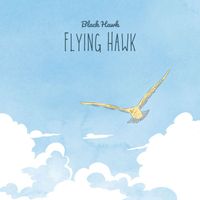 Black Hawk - Flying Hawk