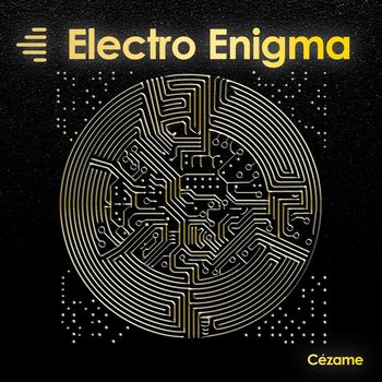 Various Artists - Electro Enigma