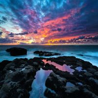 Violet Skies - Oceanic Harmony