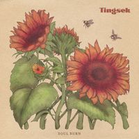Tingsek - Soul Burn