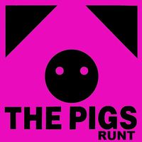 The Pigs - Runt