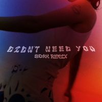 St. South - Didn't Need You (SOAK Remix)